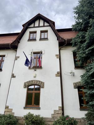 Pokácení smrků u úřadu 1